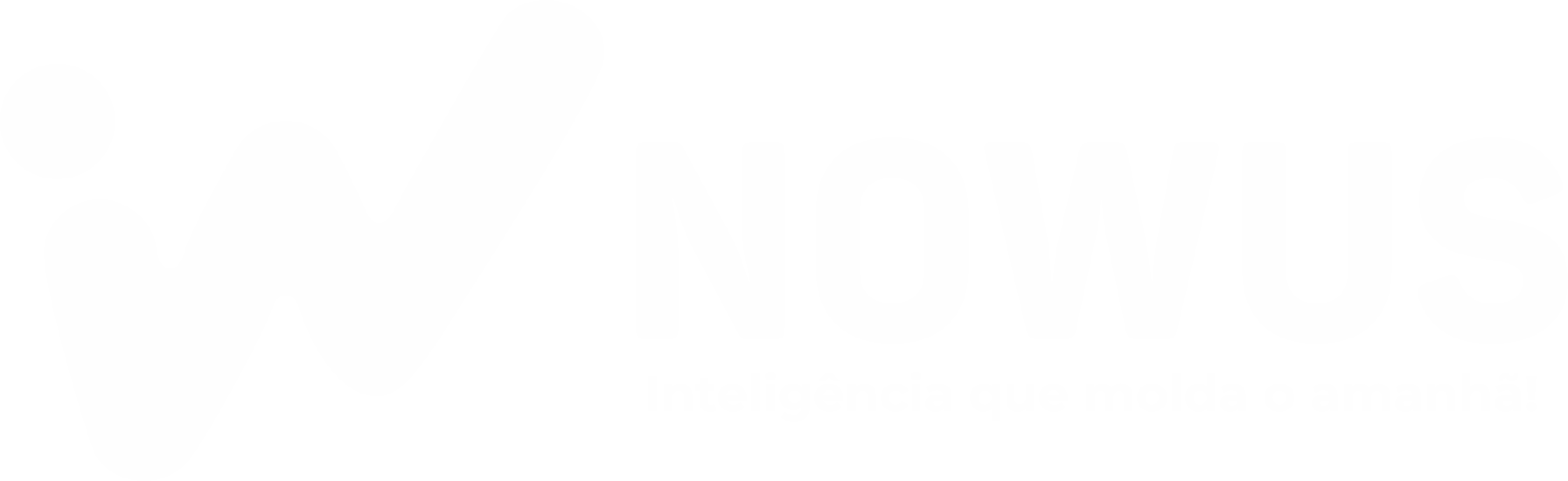 Nowus - Consultoria em Inteligência Artificial
